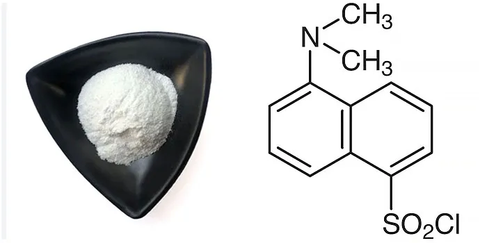 analytical chemistry Dansyl Chloride CAS 605-65-2 analytical chemistry Dansyl Chloride CAS 605-65-2