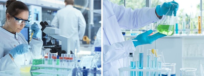 ABT-199|Bcl-2 inhibitor ABT-199|Bcl-2 inhibitor